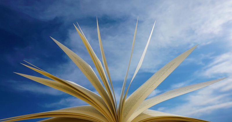 1. 機場(chǎng)類(lèi)手冊文件.jpg